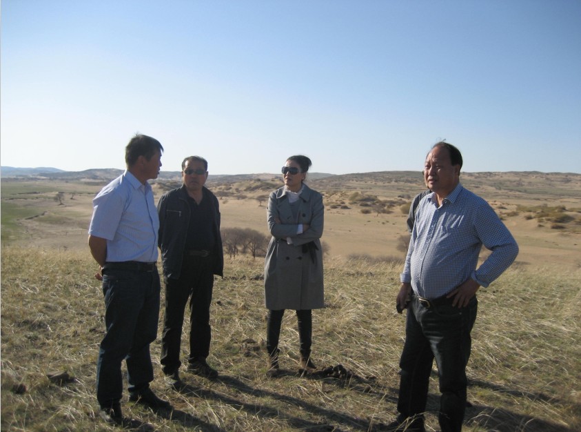 發(fā)揮資源優(yōu)勢(shì)，提高產(chǎn)業(yè)鏈競(jìng)爭(zhēng)力——協(xié)會(huì)為企業(yè)間的合作搭建平臺(tái)